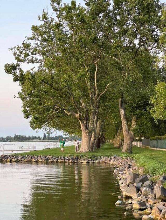 Willa Rozsa Nyaralohaz Balatonboglár Zewnętrze zdjęcie
