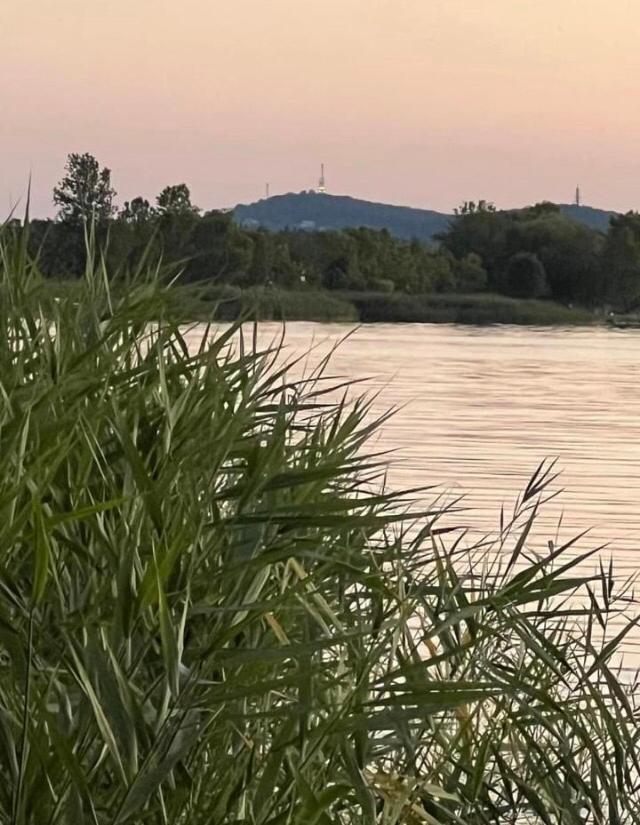 Willa Rozsa Nyaralohaz Balatonboglár Zewnętrze zdjęcie